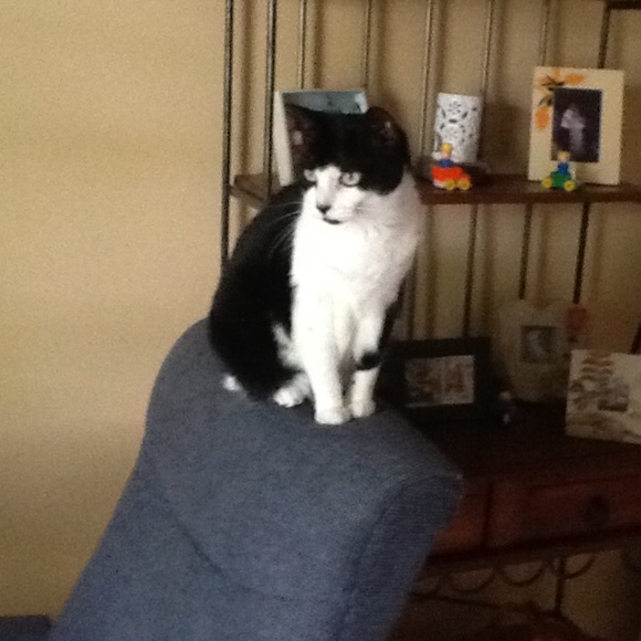 Meet your Posher, Pat - Picture 4 of 7